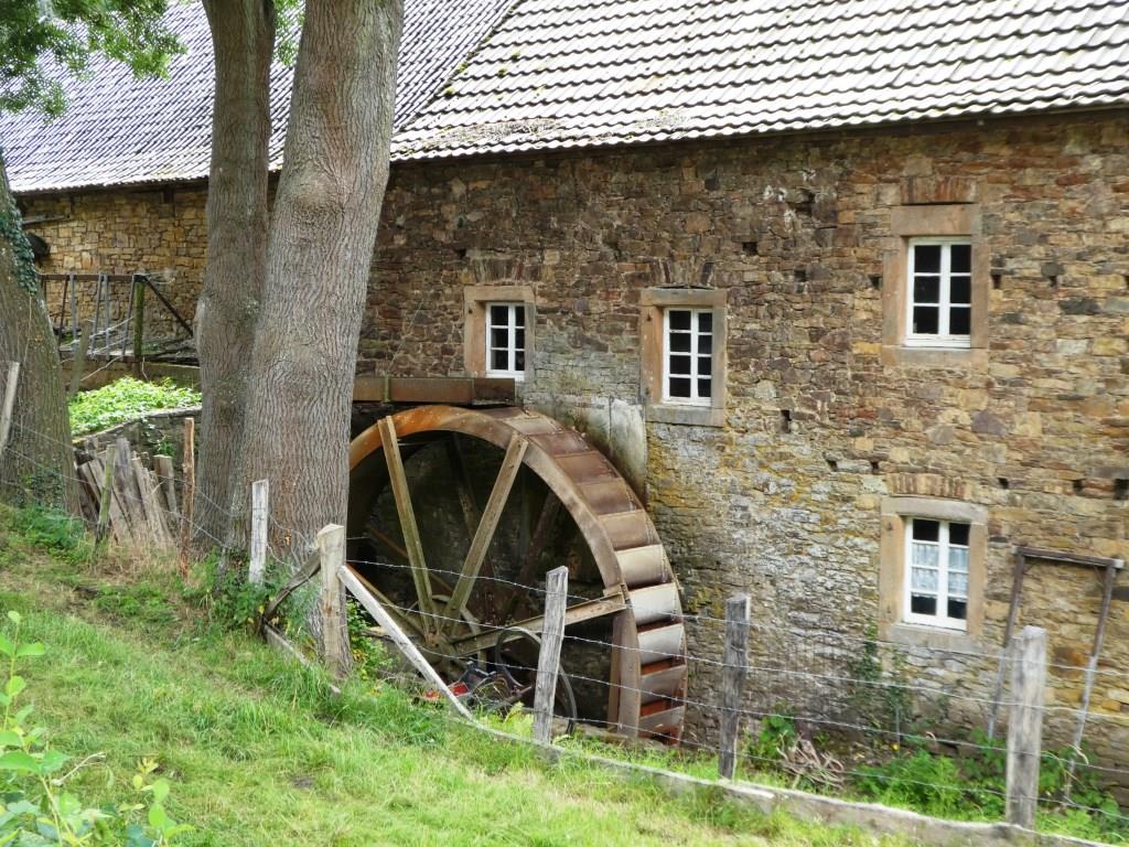 Mühle Falkenstein - 2020